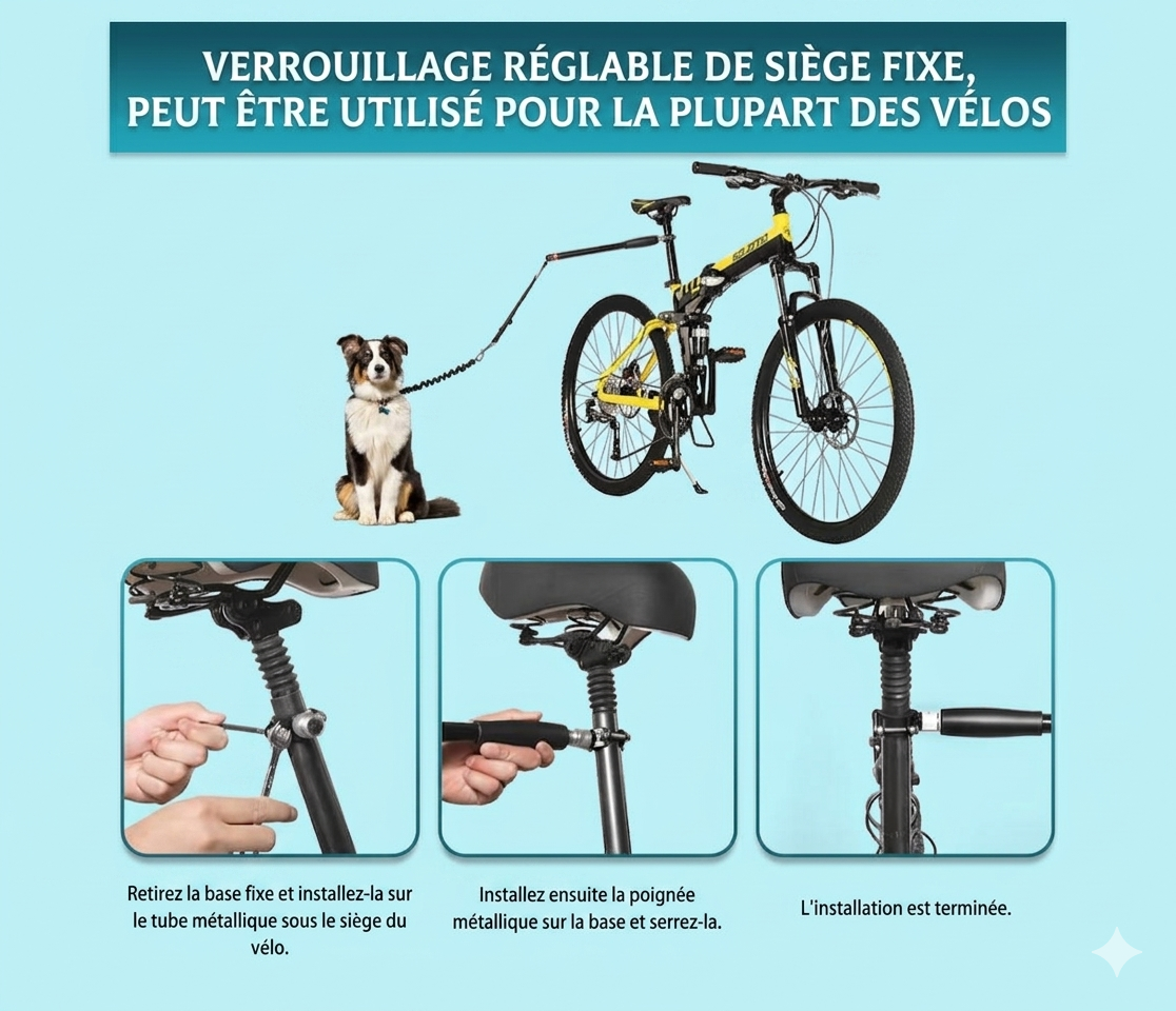 Leash for dogs when riding a bicycle