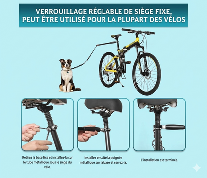 Leash for dogs when riding a bicycle