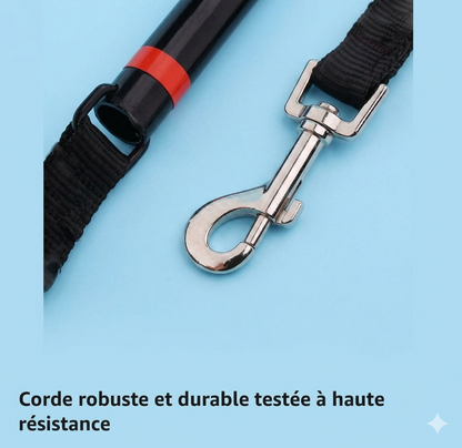 Leash for dogs when riding a bicycle