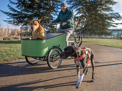 Leash for dogs when riding a bicycle